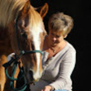 Meet your Posher, Ginny